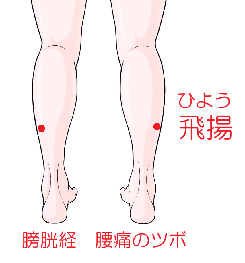 腰痛のツボ　飛揚