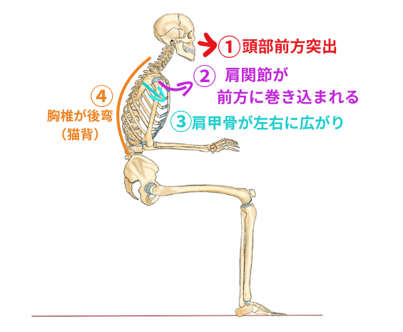 デスクワーク姿勢から生じる体のゆがみのメカニズム