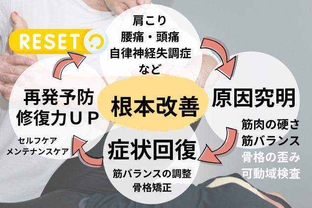 整体による施術で根本改善を促す流れ

