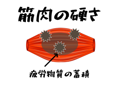 筋肉の硬さは肩こりの原因につながる