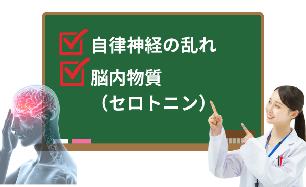 片頭痛の血管拡張の原因に自律神経とセロトニンが関係