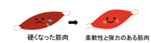 整体の第一段階手技で硬くなった筋肉にアプローチ