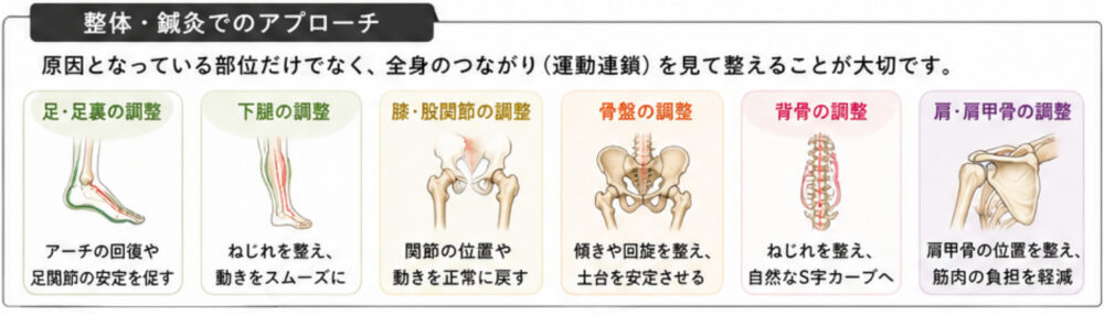 運動連鎖を評価して整える鍼灸・整体のアプローチ